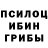 Галлюциногенные грибы Magic Shrooms 